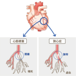 循環器内科２-2026-06-12-110014